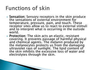  Sensation: Sensory receptors in the skin produce
the sensations of external environment for
temperature, pressure, pain, and touch. These
receptor sites allow us to react to external stimuli
and to interpret what is occurring in the outside
world.
 Protection: The skin acts an elastic, resistant
covering. It prevents passage of harmful physical
and chemical agents. The melanin produced by
the melanocytes protects us from the damaging
ultraviolet rays of sunlight. The lipid content of
the skin inhibits the excessive loss of water and
electrolytes through the skin.
 
