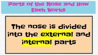 Parts of the Nose and How
Each Works
The nose is divided
into the external and
internal parts
 