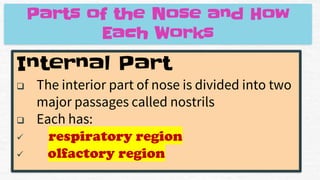 Internal Part
❑ The interior part of nose is divided into two
major passages called nostrils
❑ Each has:
✓ respiratory region
✓ olfactory region
Parts of the Nose and How
Each Works
 