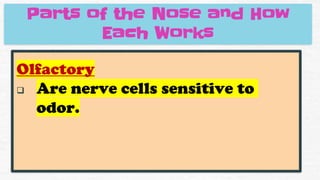 Olfactory
❑ Are nerve cells sensitive to
odor.
Parts of the Nose and How
Each Works
 