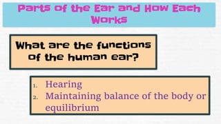 Parts of the Ear and How Each
Works
What are the functions
of the human ear?
1. Hearing
2. Maintaining balance of the body or
equilibrium
 
