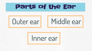 Outer ear
Parts of the Ear
Inner ear
Middle ear
 