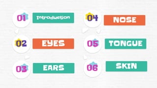 Introduction
NOSE
EARS
EYES TONGUE
SKIN
 