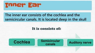 Inner Ear
The inner ear consists of the cochlea and the
semicircular canals. It is located deep in the skull
It is consists of:
Cochlea Semicircular
canals
Auditory nerve
 