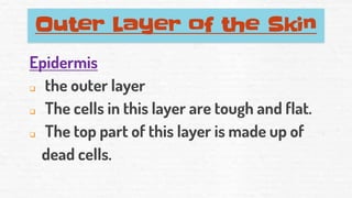 Outer Layer of the Skin
Epidermis
❑ the outer layer
❑ The cells in this layer are tough and flat.
❑ The top part of this layer is made up of
dead cells.
 