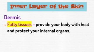 Inner Layer of the Skin
Dermis
❑ Fatty tissues – provide your body with heat
and protect your internal organs.
 