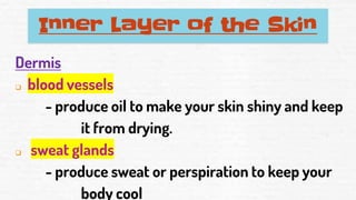 Inner Layer of the Skin
Dermis
❑ blood vessels
- produce oil to make your skin shiny and keep
it from drying.
❑ sweat glands
- produce sweat or perspiration to keep your
body cool
 
