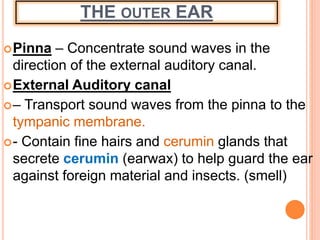 THE OUTER EAR
Pinna – Concentrate sound waves in the
direction of the external auditory canal.
External Auditory canal
– Transport sound waves from the pinna to the
tympanic membrane.
- Contain fine hairs and cerumin glands that
secrete cerumin (earwax) to help guard the ear
against foreign material and insects. (smell)
 