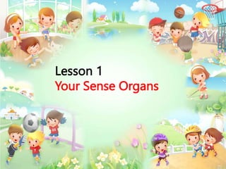 Lesson 1
Your Sense Organs
 
