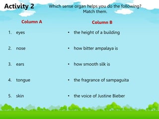 1. eyes
2. nose
3. ears
4. tongue
5. skin
Activity 2
• the height of a building
• how bitter ampalaya is
• how smooth silk is
• the fragrance of sampaguita
• the voice of Justine Bieber
Column A Column B
Which sense organ helps you do the following?
Match them.
 