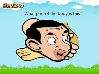 What part of the body is this?
 