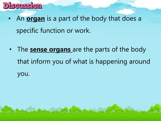 • An organ is a part of the body that does a
specific function or work.
• The sense organs are the parts of the body
that inform you of what is happening around
you.
 