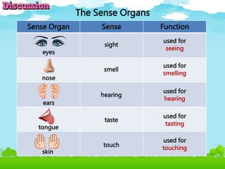 The Sense Organs
Sense Organ Sense Function
eyes
nose
ears
tongue
skin
sight
used for
seeing
smell
used for
smelling
hearing
used for
hearing
taste
used for
tasting
touch
used for
touching
 