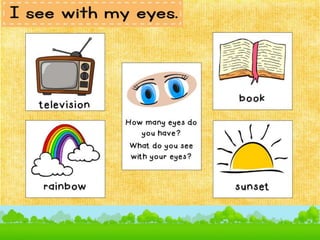 SENSE ORGANS.pptx