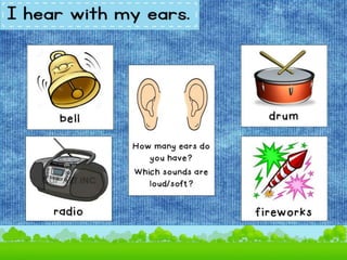SENSE ORGANS.pptx