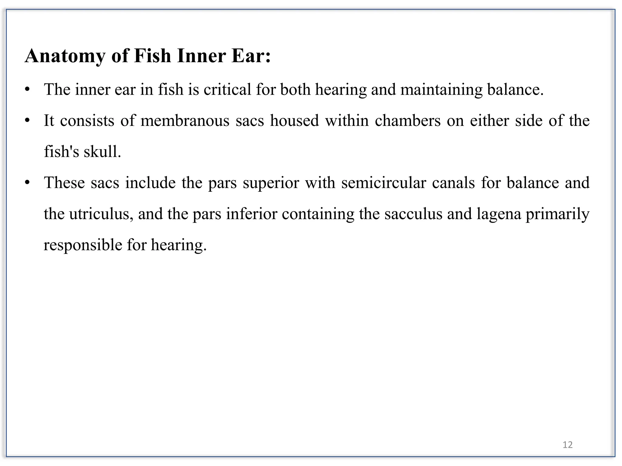 Sense organs and their functions in Fish | PPTX