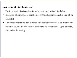 Sense organs and their functions in Fish | PPTX
