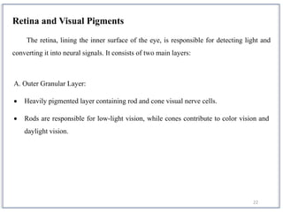 22
Retina and Visual Pigments
The retina, lining the inner surface of the eye, is responsible for detecting light and
converting it into neural signals. It consists of two main layers:
A. Outer Granular Layer:
 Heavily pigmented layer containing rod and cone visual nerve cells.
 Rods are responsible for low-light vision, while cones contribute to color vision and
daylight vision.
 