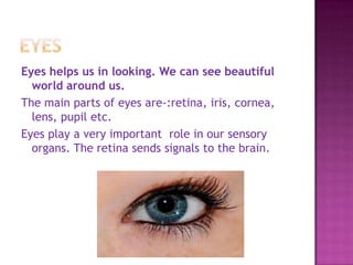 Sense organs by ishika & daksh | PPTX