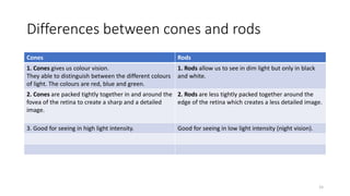 Differences between cones and rods
Cones Rods
1. Cones gives us colour vision.
They able to distinguish between the different colours
of light. The colours are red, blue and green.
1. Rods allow us to see in dim light but only in black
and white.
2. Cones are packed tightly together in and around the
fovea of the retina to create a sharp and a detailed
image.
2. Rods are less tightly packed together around the
edge of the retina which creates a less detailed image.
3. Good for seeing in high light intensity. Good for seeing in low light intensity (night vision).
15
 