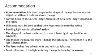 Accommodation
• Accommodation: it is the change in the shape of the eye lens to focus on
objects at different distances from the eye.
• For the brain to see a clear image, there must be a clear image focused on
the retina.
• Light rays must be bent so that they focus exactly onto the retina.
• Bending light rays is called refraction.
• The shape of the lens is altered, to make it bend light rays by different
amounts.
• The thicker the lens, the more it bends the light rays. The thinner it is, the
less it bends them.
• The lens makes fine adjustments and refracts light rays..
• Most refraction of the light entering the eye is done by the cornea.
20
 