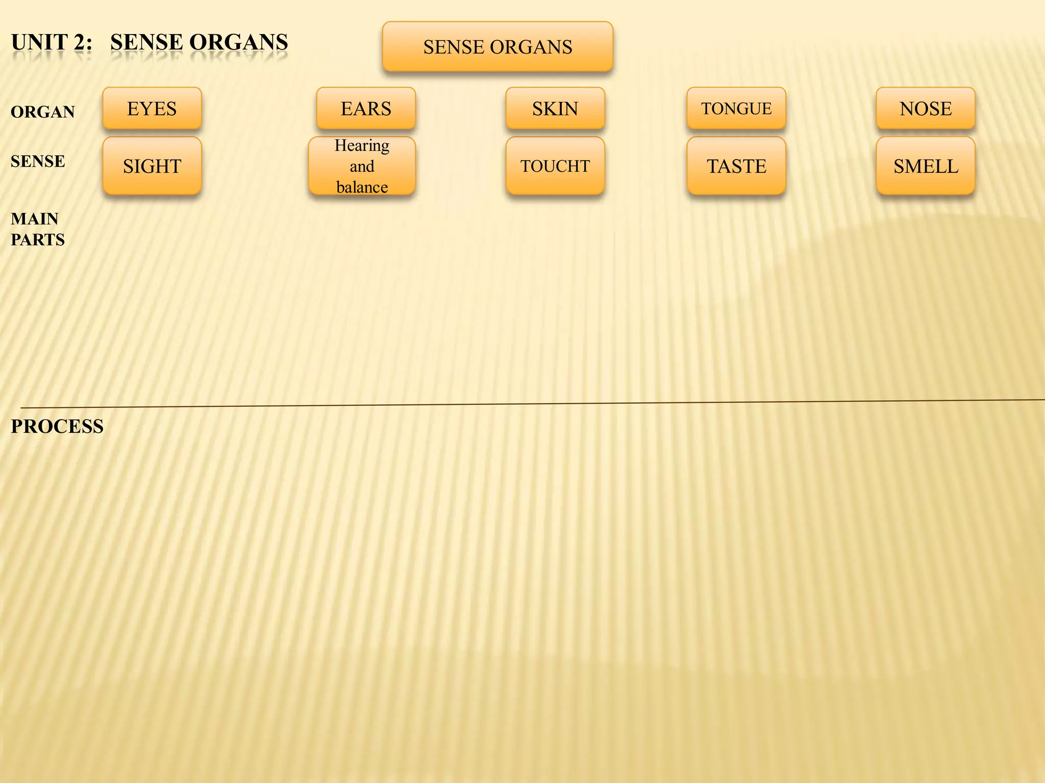 UNIT 2: SENSE ORGANS             SENSE ORGANS


ORGAN     EYES         EARS              SKIN    TONGUE   NOSE
                       Hearing
SENSE     SIGHT          and            TOUCHT   TASTE    SMELL
                       balance
MAIN
PARTS




PROCESS
 