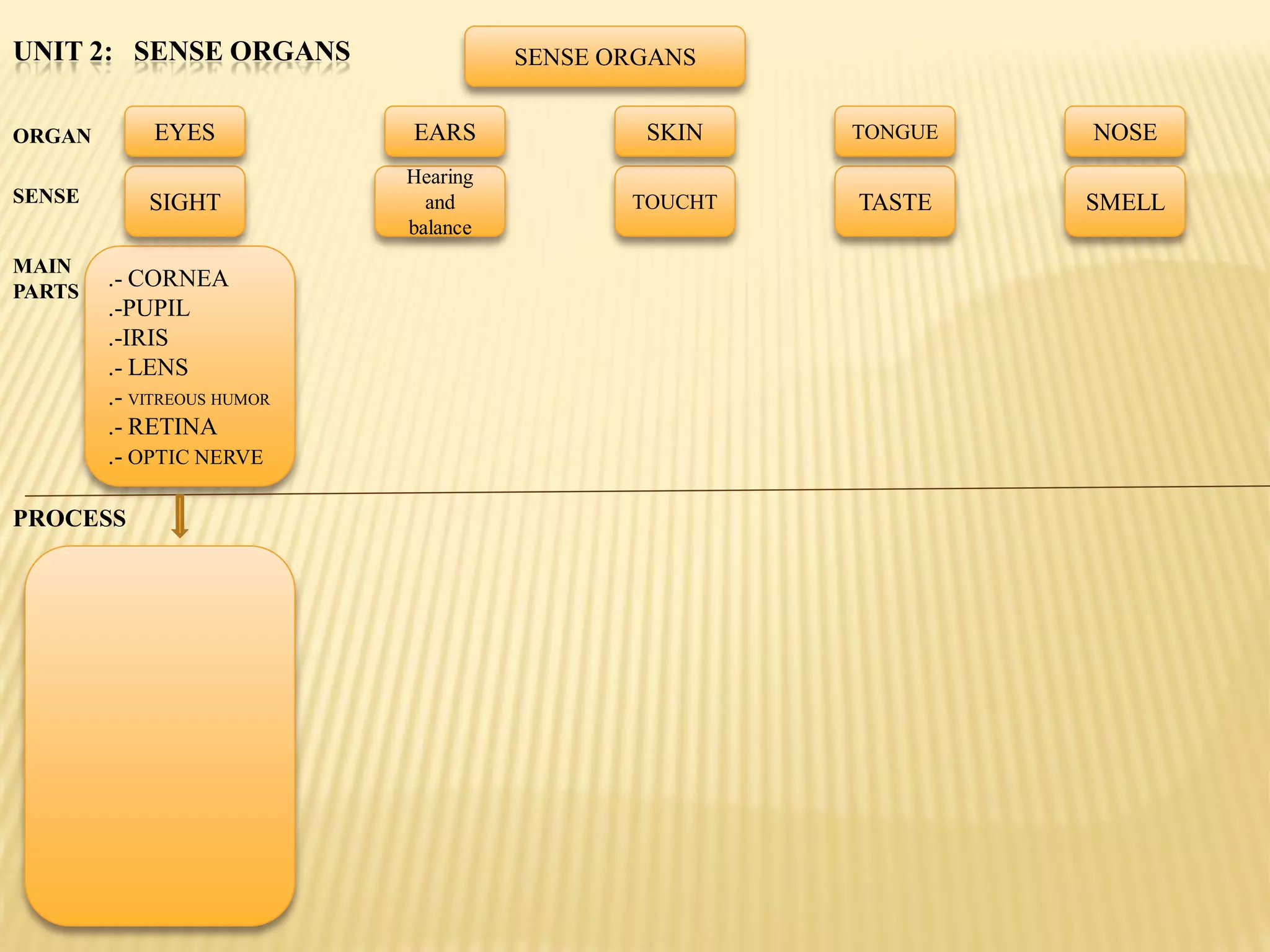 UNIT 2: SENSE ORGANS                  SENSE ORGANS


ORGAN       EYES            EARS              SKIN    TONGUE   NOSE
                            Hearing
SENSE       SIGHT             and            TOUCHT   TASTE    SMELL
                            balance
MAIN
PARTS
        .- CORNEA
        .-PUPIL
        .-IRIS
        .- LENS
        .- VITREOUS HUMOR
        .- RETINA
        .- OPTIC NERVE

PROCESS
 