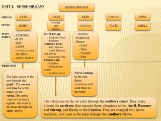 UNIT 2: SENSE ORGANS                          SENSE ORGANS


ORGAN        EYES                  EARS                 SKIN          TONGUE               NOSE
                                  Hearing
SENSE       SIGHT                   and               TOUCHT           TASTE              SMELL
                                  balance
MAIN                        OUTER EAR:             .- NERVE
PARTS
        .- CORNEA
                              .- Auditory Canal    ENDINGS
        .-PUPIL               .- Eardrum
        .-IRIS                                     Detect:
                            MIDDLE EAR:
        .- LENS                                       .- Cold
                              .-Aud. Osicles:
        .- VITREOUS HUMOR        Anvil, Hammer        .- Heat
        .- RETINA           and Stirrup               .- Contact
        .- OPTIC NERVE        - Eustachian tube       .- Pain
                            INNER EAR:
                              .- Cochlea
PROCESS                       .- Semicircular
                            canals.
                              .- Auditory nerve   Nerve endings
  The light enters in the                         in the skin
  eye through the                                 detect
  pupil. The cornea                               sensations and
  and lens focus the                              send them to
  image on the                                    the brain.
  retina.The retina
  convert it in nerve
  signals that send to
                            The vibrations on the air enter through the auditory canal. They make
  the brain through the     vibrate the eardrum, that transmit these vibrations to the Anvil, Hammer
  optic nerve.              and Stirrup, and finally to the Cochlea. They are changed into nerve
                            impulses , and sent to the brain through the Auditory Nerve.
 