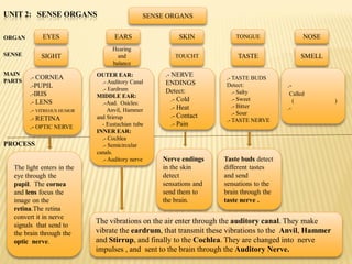 UNIT 2: SENSE ORGANS                          SENSE ORGANS


ORGAN        EYES                  EARS                 SKIN           TONGUE                NOSE
                                  Hearing
SENSE       SIGHT                   and               TOUCHT           TASTE                SMELL
                                  balance
MAIN                        OUTER EAR:             .- NERVE
PARTS
        .- CORNEA                                                   .- TASTE BUDS
                              .- Auditory Canal    ENDINGS
        .-PUPIL                                                     Detect:            .-
                              .- Eardrum           Detect:
        .-IRIS                                                         .- Salty         Called
                            MIDDLE EAR:
        .- LENS                                       .- Cold          .- Sweet           (            )
                              .-Aud. Osicles:
                                                      .- Heat          .- Bitter       .-
        .- VITREOUS HUMOR        Anvil, Hammer
                                                                       .- Sour
        .- RETINA           and Stirrup               .- Contact
                                                                    .- TASTE NERVE
        .- OPTIC NERVE        - Eustachian tube       .- Pain
                            INNER EAR:
                              .- Cochlea
PROCESS                       .- Semicircular
                            canals.
                              .- Auditory nerve   Nerve endings    Taste buds detect
  The light enters in the                         in the skin      different tastes
  eye through the                                 detect           and send
  pupil. The cornea                               sensations and   sensations to the
  and lens focus the                              send them to     brain through the
  image on the                                    the brain.       taste nerve .
  retina.The retina
  convert it in nerve
  signals that send to
                            The vibrations on the air enter through the auditory canal. They make
  the brain through the     vibrate the eardrum, that transmit these vibrations to the Anvil, Hammer
  optic nerve.              and Stirrup, and finally to the Cochlea. They are changed into nerve
                            impulses , and sent to the brain through the Auditory Nerve.
 