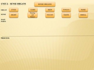 UNIT 2: SENSE ORGANS             SENSE ORGANS


ORGAN     EYES         EARS              SKIN    TONGUE   NOSE
                       Hearing
SENSE     SIGHT          and            TOUCHT   TASTE    SMELL
                       balance
MAIN
PARTS




PROCESS
 