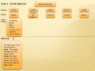 UNIT 2: SENSE ORGANS                  SENSE ORGANS


ORGAN        EYES           EARS              SKIN    TONGUE   NOSE
                            Hearing
SENSE       SIGHT             and            TOUCHT   TASTE    SMELL
                            balance
MAIN
PARTS
        .- CORNEA
        .-PUPIL
        .-IRIS
        .- LENS
        .- VITREOUS HUMOR
        .- RETINA
        .- OPTIC NERVE

PROCESS


  The light enters in the
  eye through the
  pupil. The cornea
  and lens focus the
  image on the
  retina.The retina
  convert it in nerve
  signals that send to
  the brain through the
  optic nerve.
 