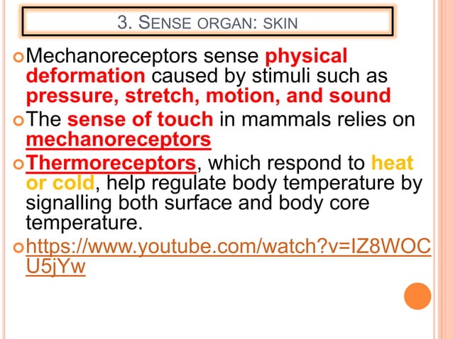 SENSE ORGANS EYES SKIN AND TONGUE.pptx