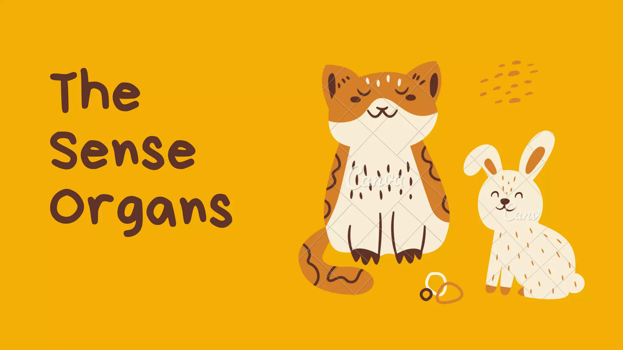 Sense organs of the body PPT