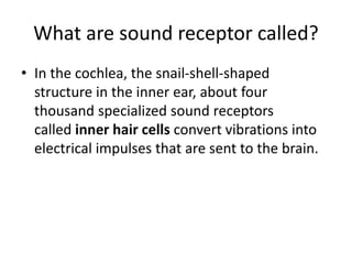 SENSE_ORGANS_physiology[1].pptx