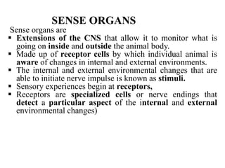 SENSE ORGANS
Sense organs are
 Extensions of the CNS that allow it to monitor what is
going on inside and outside the animal body.
 Made up of receptor cells by which individual animal is
aware of changes in internal and external environments.
 The internal and external environmental changes that are
able to initiate nerve impulse is known as stimuli.
 Sensory experiences begin at receptors,
 Receptors are specialized cells or nerve endings that
detect a particular aspect of the internal and external
environmental changes)
 