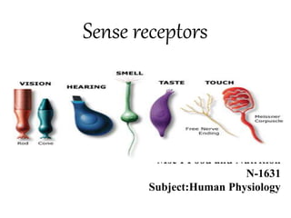 Sense receptors
Sana Afreen
Msc I Food and Nutrition
N-1631
Subject:Human Physiology
 
