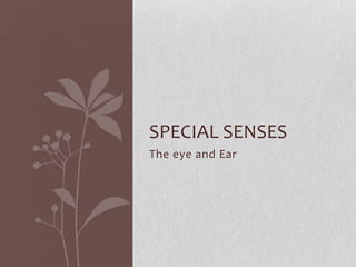 SPECIAL SENSES
The eye and Ear
 