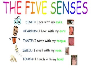 The senses (6)