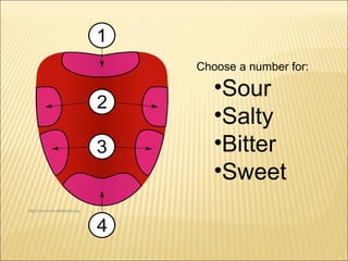 Choose a number for: 
•Sour 
•Salty 
•Bitter 
•Sweet 
http://commons.wikimedia.org 
 