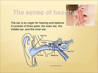 The ear is an organ for hearing and balance. 
It consists of three parts: the outer ear, the 
middle ear, and the inner ear. 
 