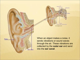 www.audigygroup.com 
When an object makes a noise, it 
sends vibrations or sound waves 
through the air. These vibrations are 
collected by the outer ear and send 
into the ear canal. 
 