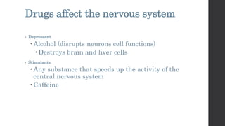 Drugs affect the nervous system
• Depressant
 Alcohol (disrupts neurons cell functions)
 Destroys brain and liver cells
• Stimulants
 Any substance that speeds up the activity of the
central nervous system
 Caffeine
 