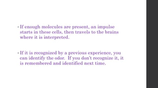 • If enough molecules are present, an impulse
starts in these cells, then travels to the brains
where it is interpreted.
• If it is recognized by a previous experience, you
can identify the odor. If you don’t recognize it, it
is remembered and identified next time.
 