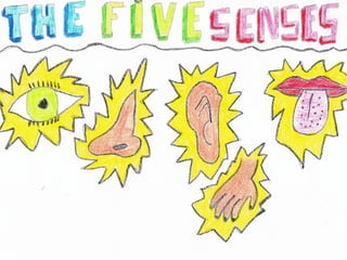 The five senses