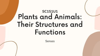 Plants and Animals:
Their Structures and
Functions
Senses
SC1S1U1
 
