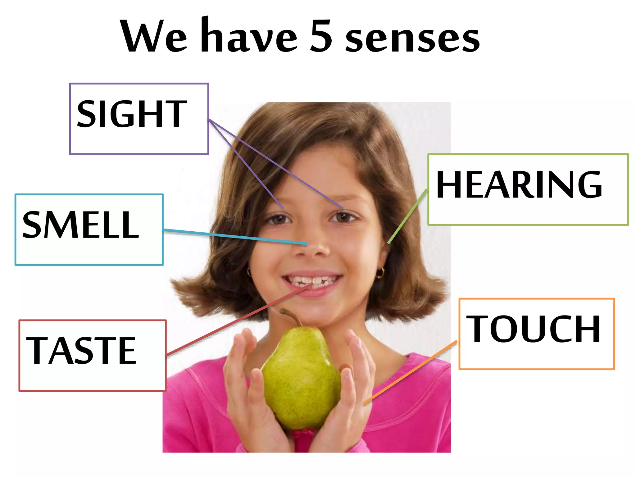 We have 5 senses
SIGHT
SMELL
HEARING
TASTE TOUCH