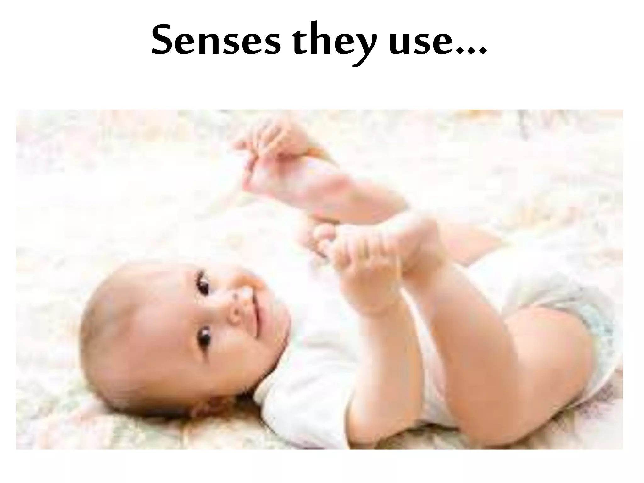 Senses they use...