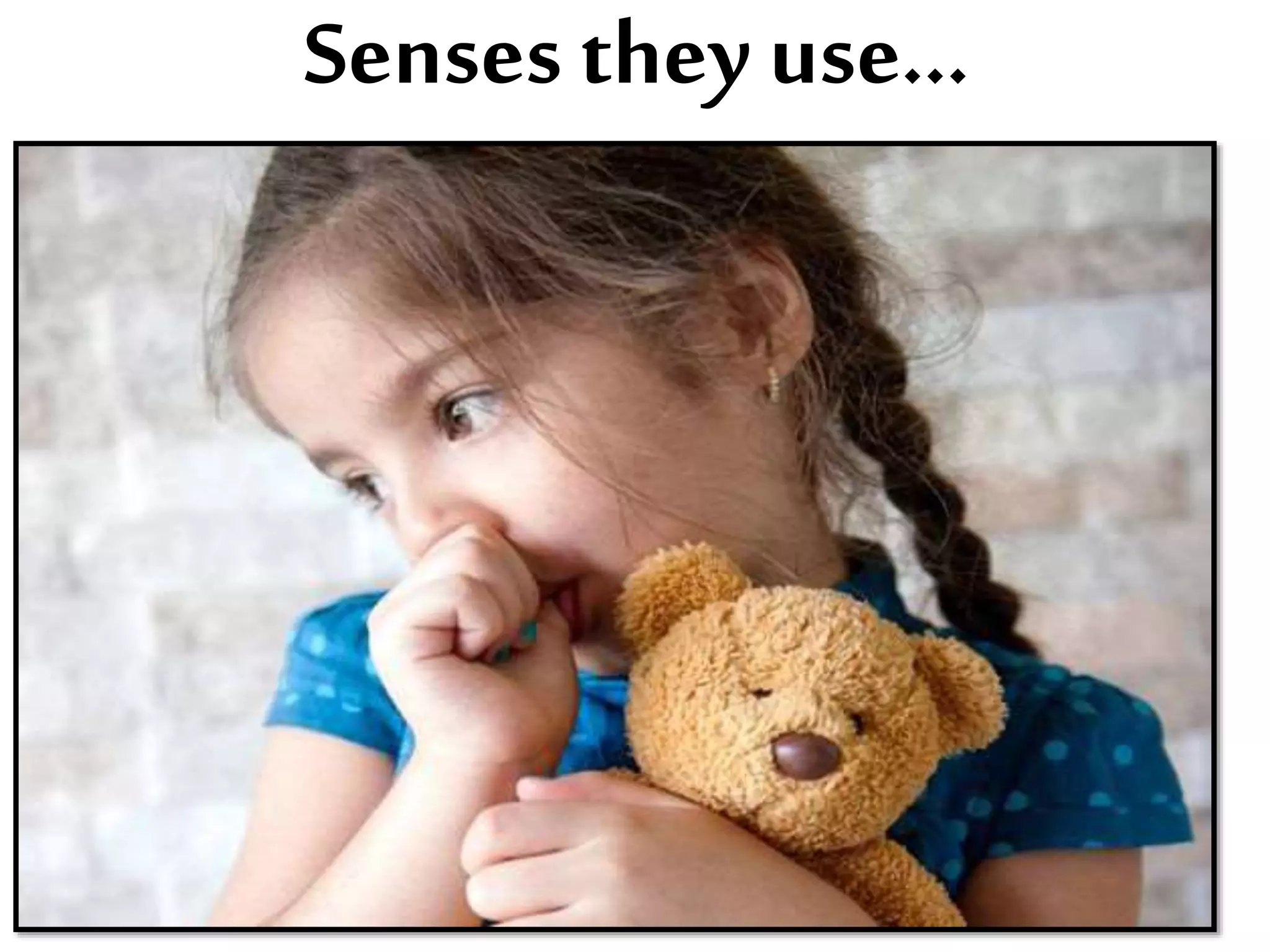 Senses they use...