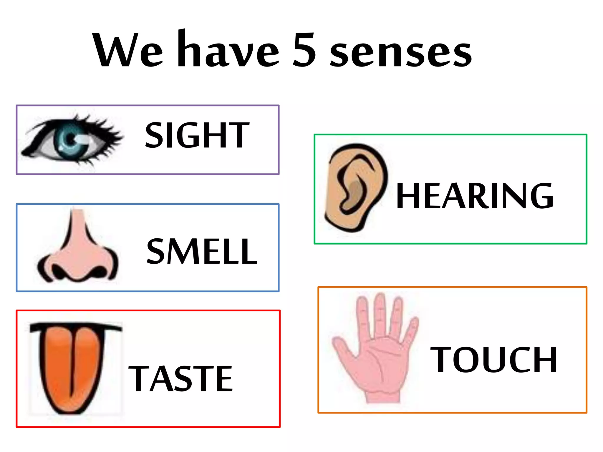 We have 5 senses
SIGHT
SMELL
TASTE TOUCH
HEARING