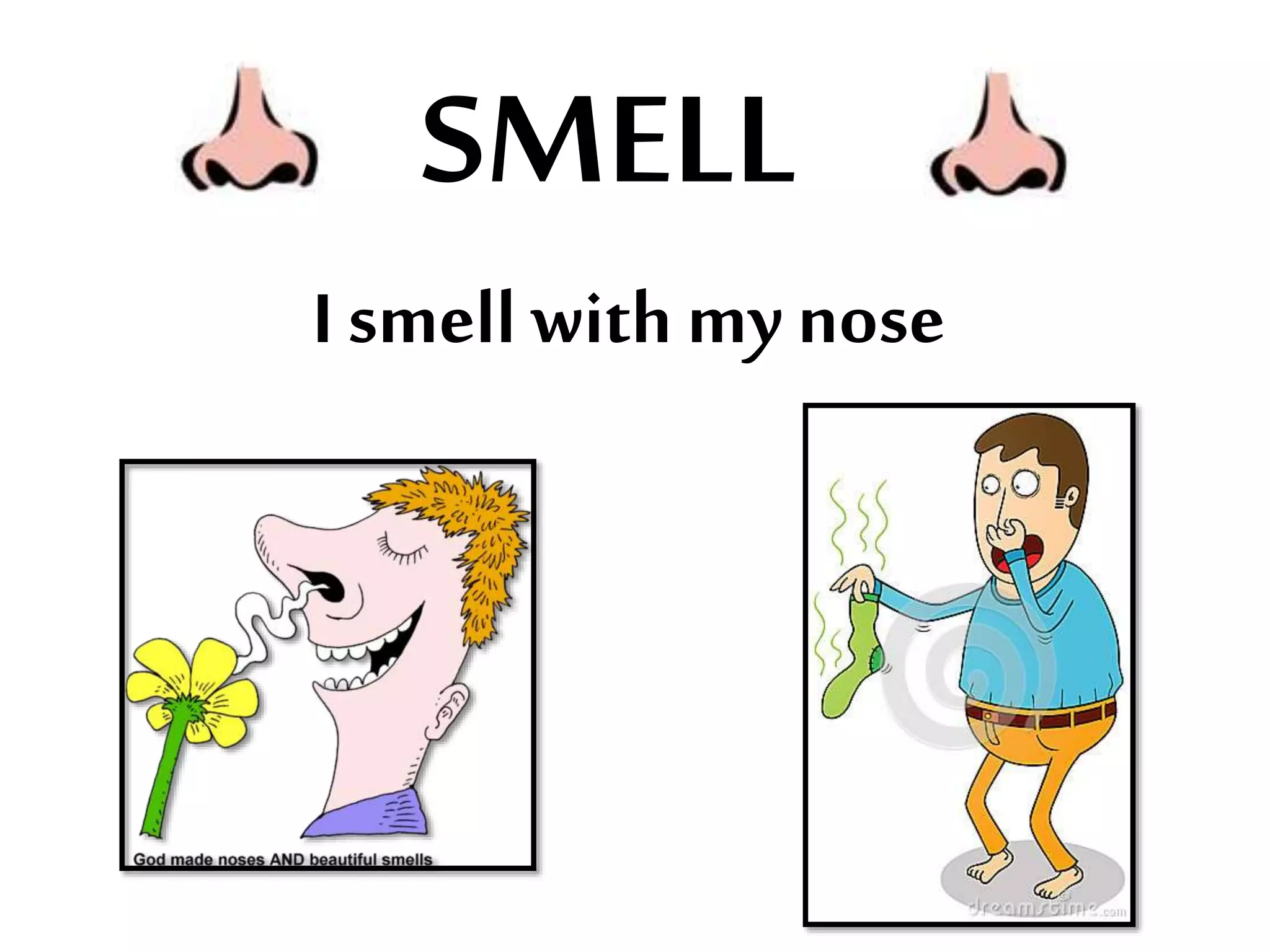 SMELL
I smell with my nose
